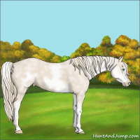 Horse Color:White Spotted Smoky Creme Sabino Frame