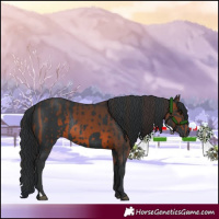 Horse Color:Brown Rabicano  and Black Rabicano 