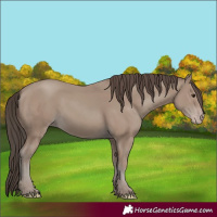 Horse Color:Classic Champagne 