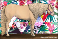 Horse Color:Gold Champagne