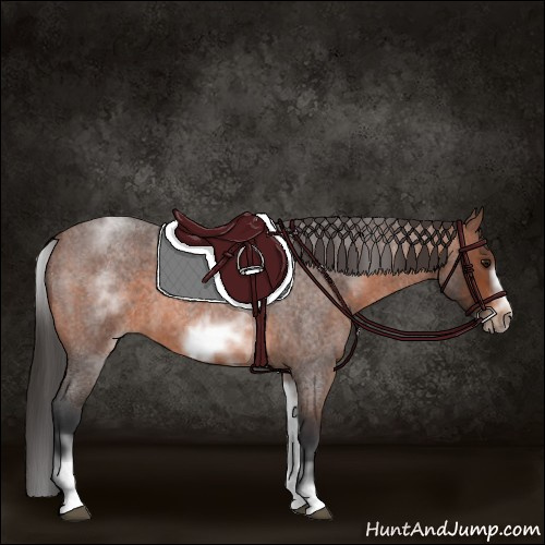 Horse Color:White Spotted Brown Roan Frame 