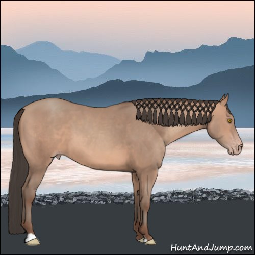 Horse Color:Amber Champagne 