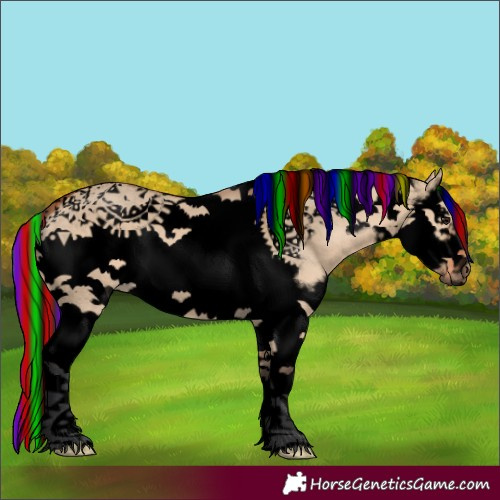 Horse Color:Void Painted Bay Dun Splash Tobiano Frame 