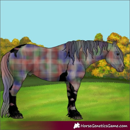 Horse Color:Void Nacre Plaid  Black Tobiano 