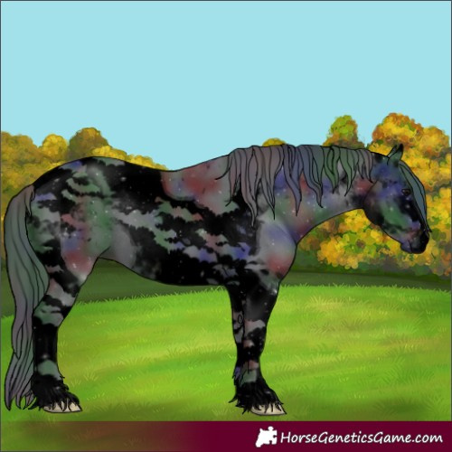 Horse Color:Void Nacre Black Tobiano 