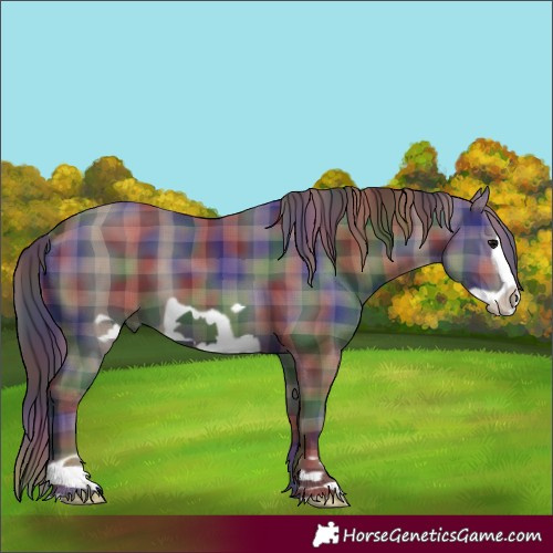 Horse Color:Nacre Plaid  Black Frame 
