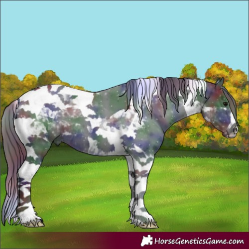 Horse Color:Nacre Black Tobiano 