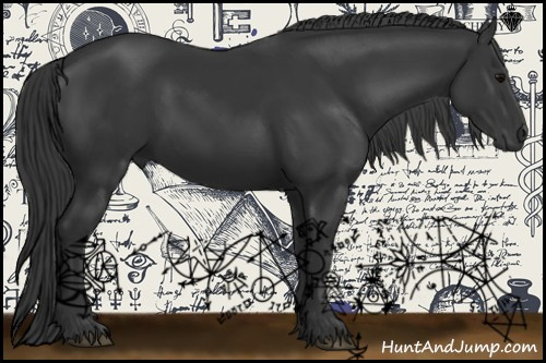 Horse Color:Black 