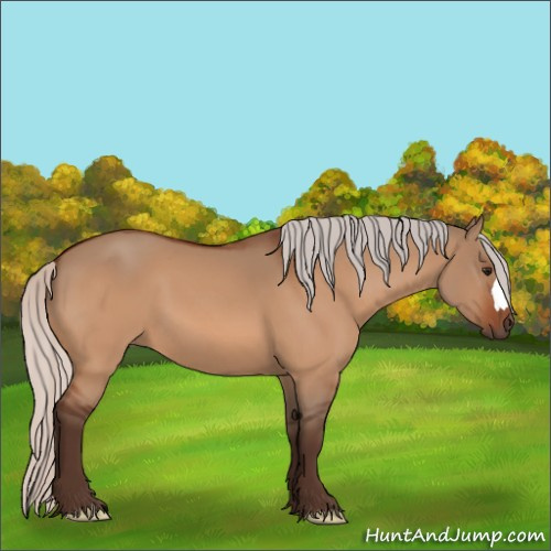 Horse Color:Silver Bay Dun 