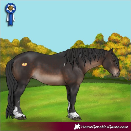 Horse Color:Brown Tobiano 