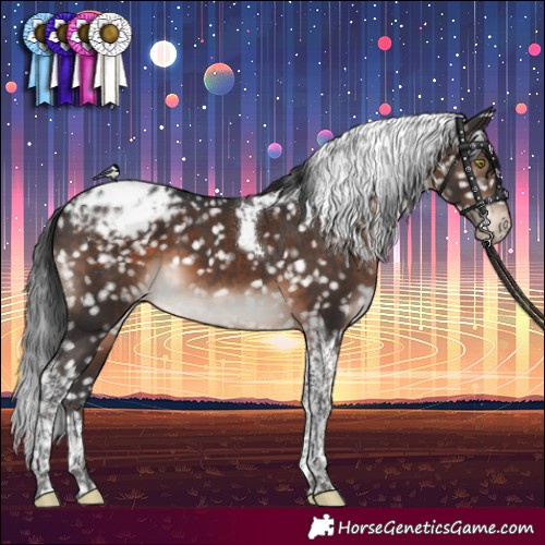 Horse Color:Brown Mushroom Tobiano Blanket