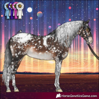 Horse Color:Brown Mushroom Tobiano Appaloosa