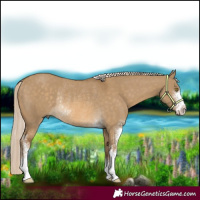 Horse Color:Chocolate Palomino Dun Sabino Rabicano