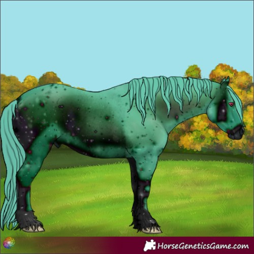 Horse Color:ERROR: UNKNOWN ANOMALY