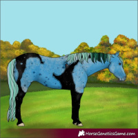 Horse Color:ERROR: UNKNOWN ANOMALY