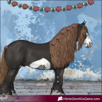 Horse Color:Liver Chestnut Frame Rabicano