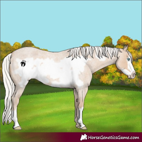Horse Color:Silver Smoky Creme Roan Frame 
