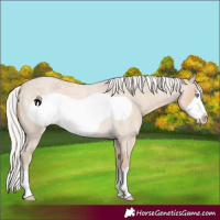 Horse Color:Silver Smoky Creme Roan Frame 
