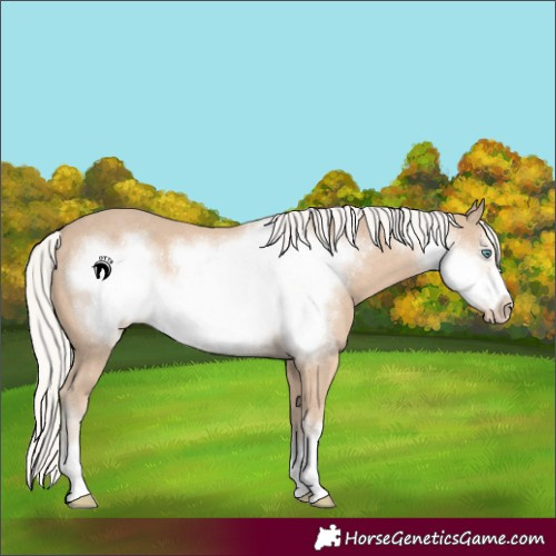 Horse Color:Silver Smoky Creme Frame 