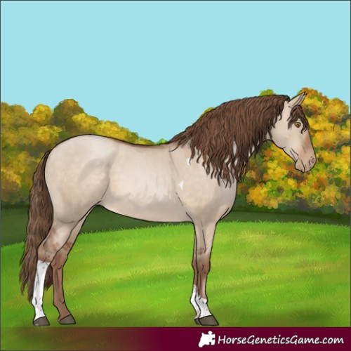 Horse Color:Brown Pearl Dun Tobiano Rabicano