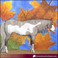 Horse Color:Silver Blue Roan Frame