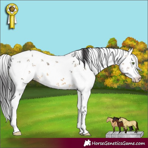 Horse Color:White Spotted Buckskin Sabino