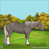 Horse Color:Silver Black 
