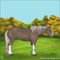 Horse Color:Silver Black 