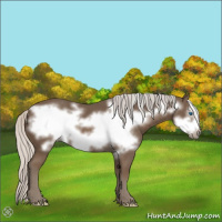 Horse Color:Silver Black Frame 