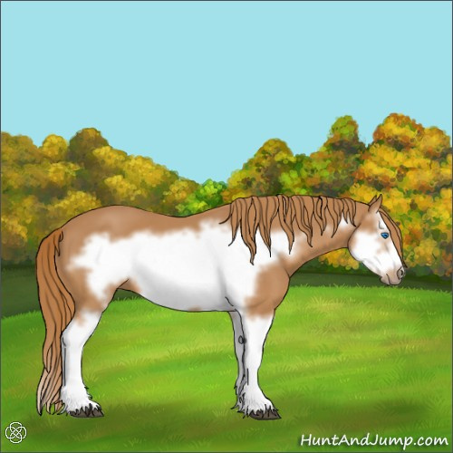 Horse Color:Chestnut Splash Frame