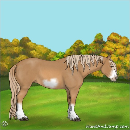 Horse Color:Red Roan Splash Frame