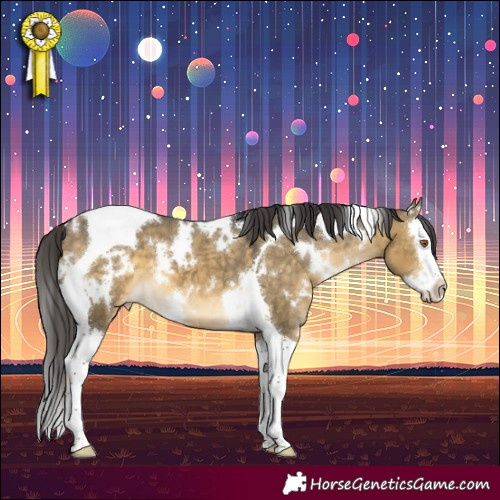 Horse Color:White Spotted Buckskin Dun Splash Tobiano Appaloosa 