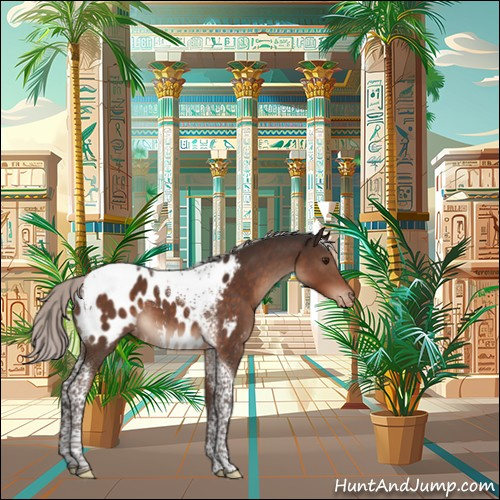 Horse Color:Silver Brown Mushroom Tobiano Near Leopard 