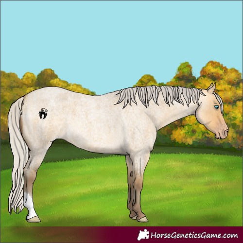 Horse Color:Silver Sable Cream Champagne Roan Dun 
