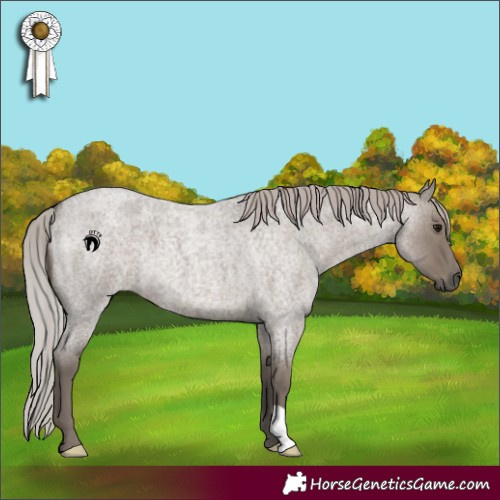 Horse Color:Silver Grullo Roan 
