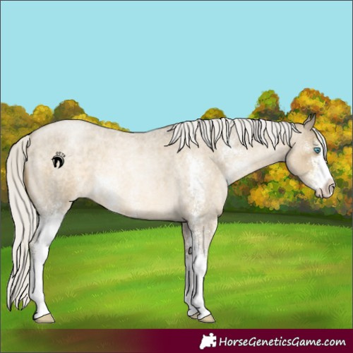 Horse Color:Silver Buckskin Roan Pearl Sabino 