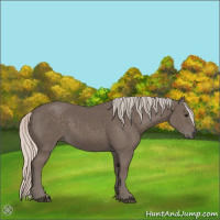 Horse Color:Silver Black 
