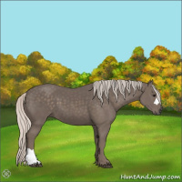 Horse Color:Silver Black 