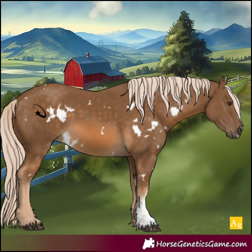 Horse Color:White Spotted Chocolate Palomino Sabino 