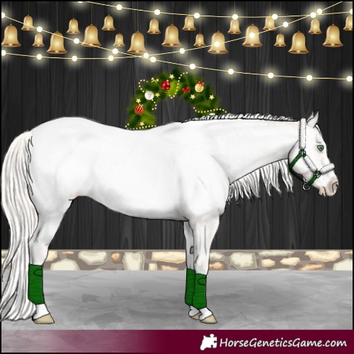 Horse Color:Cremello Onyx Sabino Splash Appaloosa 