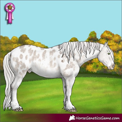 Horse Color:Silver Brown Dun Mushroom Sabino Appaloosa Rabicano 