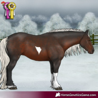Horse Color:Liver Chestnut Mushroom Tobiano 