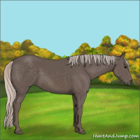 Horse Color:Silver Black 
