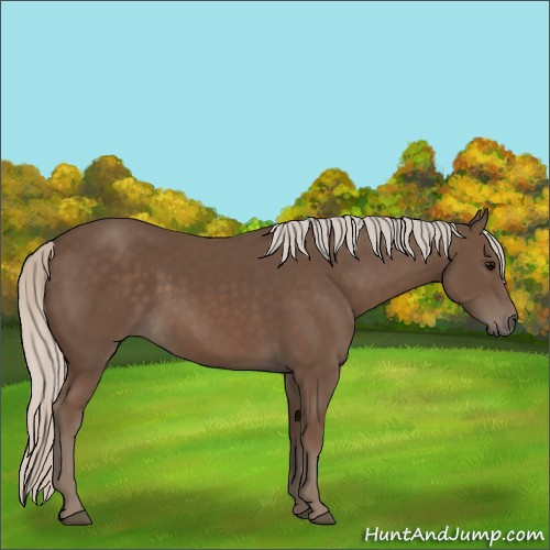 Horse Color:Silver Black 