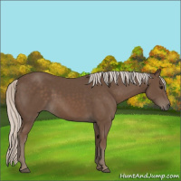 Horse Color:Silver Black 