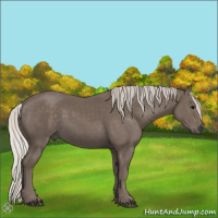 Horse Color:Silver Black 