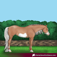Horse Color:Silver Sable Champagne Frame 