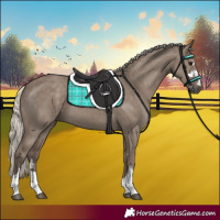 Horse Color:Silver Grullo 