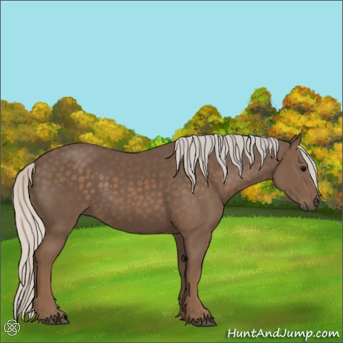 Horse Color:Silver Black