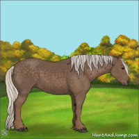 Horse Color:Silver Black 
